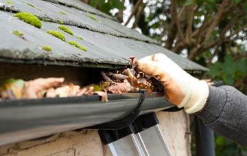 gutter cleaning Taverners Green, Essex